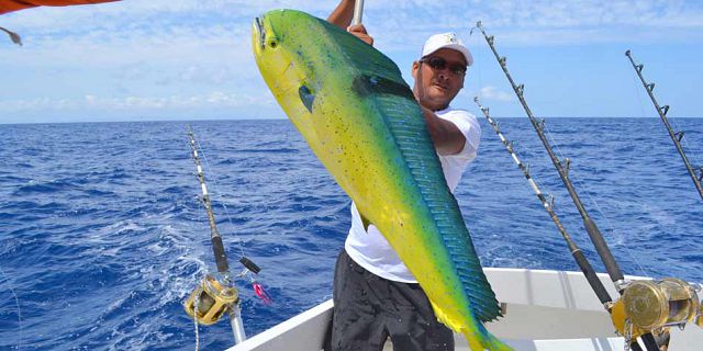 Big game fishing grand bay mauritius (6)